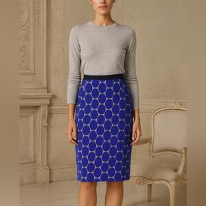 MARNI at H&M Pencil Skirt Size 6